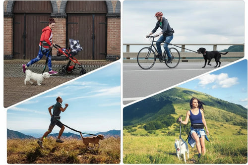 Laisse Mains Libres Rétractable pour Chien-Réfléchissante avec Sac Ceinture